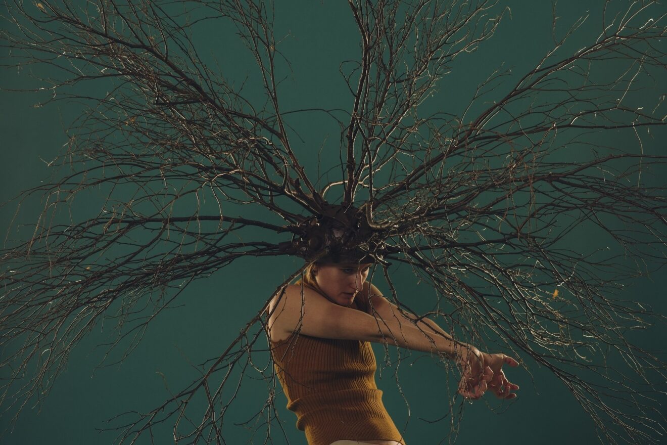 The Misunderstanding of Myrrha Junk Ensemble Fionn Mc Cann 11 1