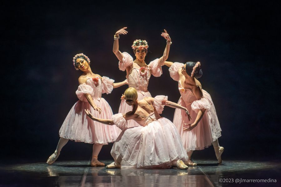 Four male ballerinas pose in classical style wearing soft pink dresses against a black backdrop