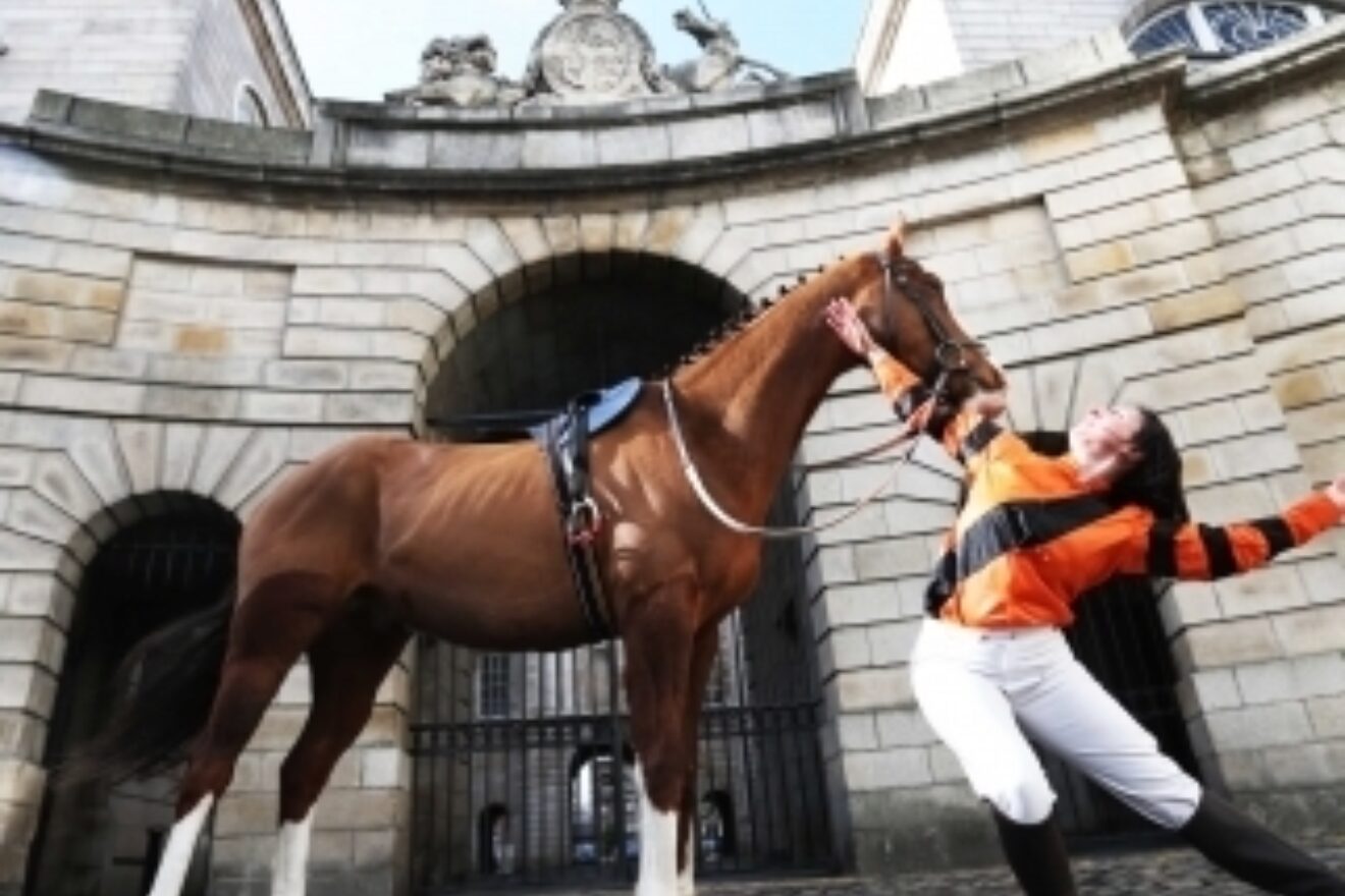 Ddf Leaps Into 2015