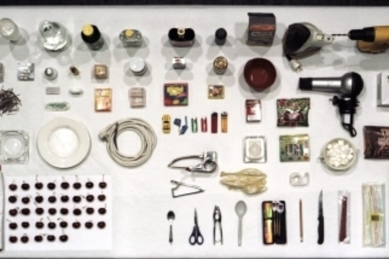Review 3: Massacre of cherries - Eve Meyer-Keller at Project's Cube