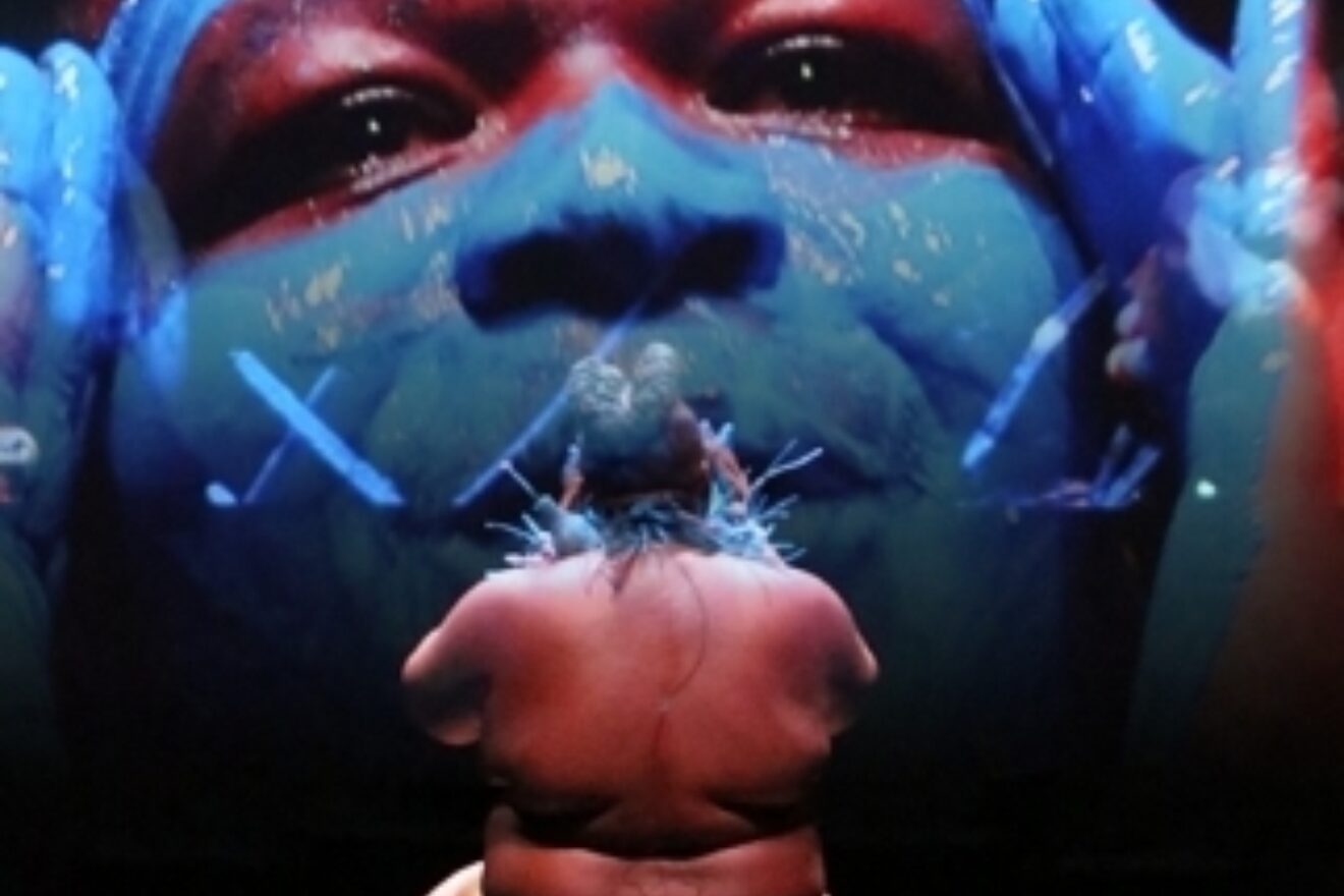 Learning To Heal South African Chreographer Robyn Orlin On The Aftermath Of Apartheid